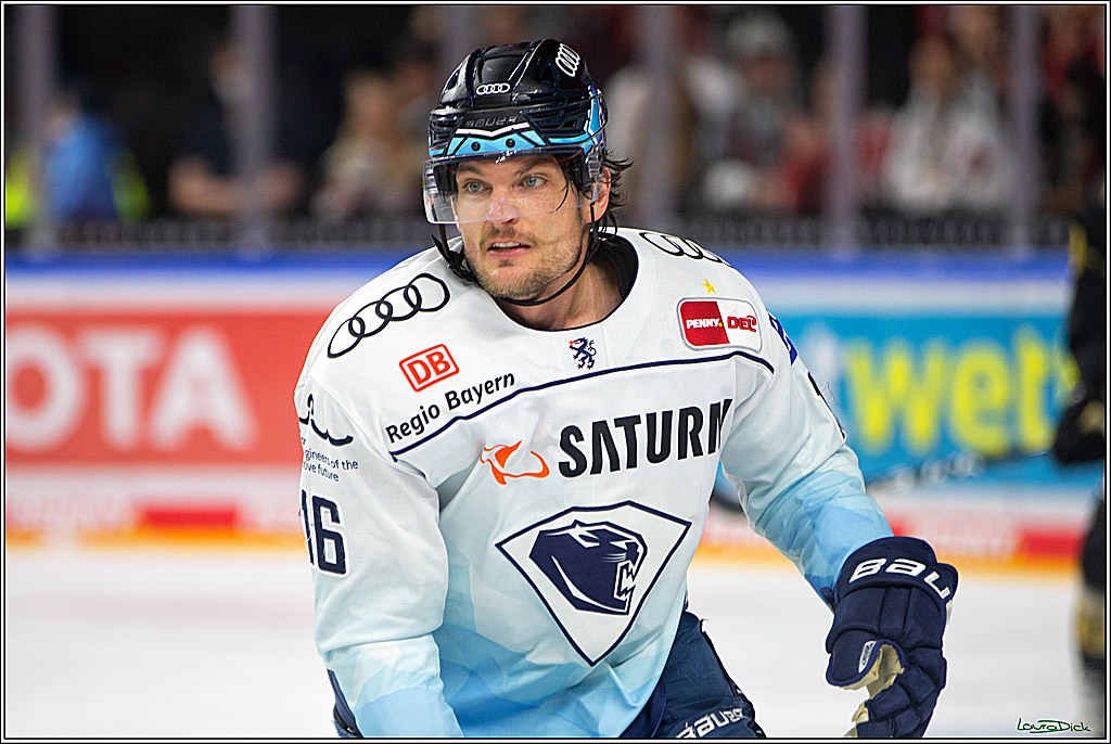 PENNY DEL;  Kölner Haie - ERC Ingolstadt; Köln, 25.11.2022